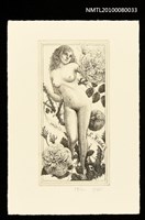 藏品(藏書票—Blossomed KOEDA（Rose）（盛開的玫瑰）)的圖片