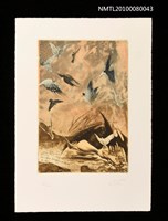 藏品(藏書票—A Bird's Dream（鳥的夢境）)的圖片