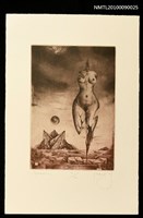 藏品(藏書票—Queen（女王）)的圖片