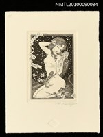 藏品(藏書票—女子與花栗鼠)的圖片