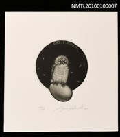 藏品(藏書票—梟の子（Baby Owl）)的圖片