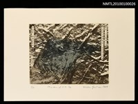 藏品(藏書票—The Raven)的圖片