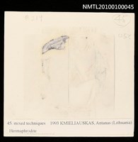 藏品(藏書票—Hermaphrodite)的圖片