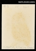 藏品(藏書票—ふくろう（Owl）)的圖片