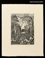 藏品(藏書票—White Veil)的圖片