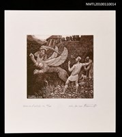 藏品(藏書票—ギリシア悲劇『オイディプス』（Greek Tragedy 
