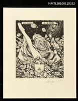 藏品(藏書票—カタツムリ（Snail）)的圖片