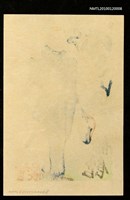 藏品(藏書票—マシュー・C・ペリー提督、1794-1858（錦絵像）)的圖片
