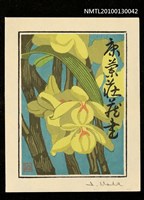 藏品(藏書票—石斛（Orchid/Sekkoku）)的圖片