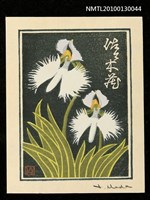 藏品(藏書票—鷺草（Orchid/Sagiso）)的圖片