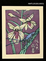 藏品(藏書票—羽蝶蘭（Orchid/Uchoran）)的圖片