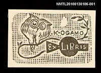 藏品(小鴨亀吉．みみずく)的圖片