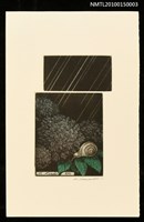 藏品(藏書票—初夏)的圖片