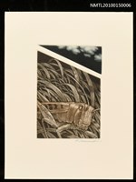 藏品(藏書票—初秋)的圖片