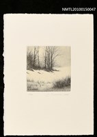 藏品(藏書票—冬木立)的圖片