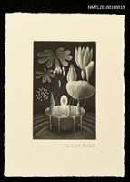 藏品(藏書票—植物)的圖片