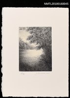 藏品(藏書票—湖)的圖片