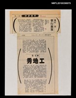 藏品(單行旅客)的圖片