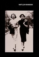 藏品(趙淑俠24歲時與同學漫步合影)的圖片