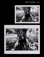 藏品(馬森（獨照）)的圖片