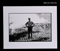 藏品(李喬（獨照）)的圖片