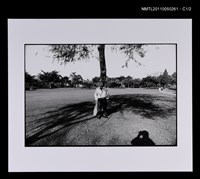 藏品(白萩（獨照）)的圖片