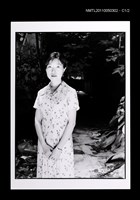 藏品(楊明)的圖片