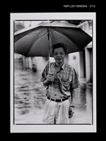 藏品(向陽)的圖片