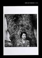 藏品(施淑青)的圖片