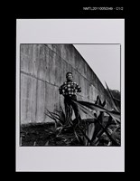 藏品(陳映真)的圖片