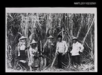 藏品(TIME TO EMBRACE HIGHER STANDARDS（影本）)的圖片