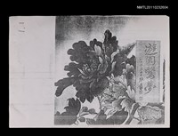 藏品(「遊園驚夢」舞台劇節目冊（影本）)的圖片