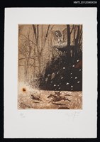 藏品(藏書票─A bird/In the forest（鳥/在森林裡）)的圖片