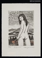 藏品(藏書票—日光キスゲ（日光黄菅）)的圖片