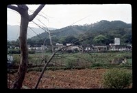 藏品(李雙澤幻燈片-菲律賓95)的圖片