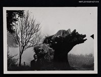 藏品(李唐基獨照1-19)的圖片