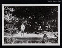 藏品(李唐基獨照1-24)的圖片