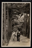 藏品(琦君夫婦生活照1-46)的圖片