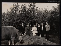 藏品(琦君訪韓活動照5(琦君和多人與牛合照))的圖片