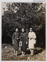 藏品(琦君訪韓活動照12)的圖片