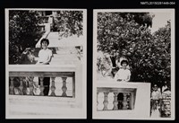 藏品(琦君個人生活照1-64)的圖片