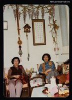 藏品(琦君與姚宜瑛、鮑曉暉、鍾麗珠等人合照10)的圖片