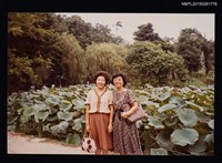 藏品(鮑曉暉與鍾麗珠合照)的圖片