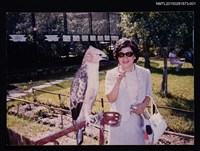 藏品(文友艾雯獨照2-1)的圖片