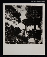 藏品(糜文開獨照4)的圖片