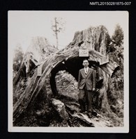 藏品(糜文開獨照7)的圖片