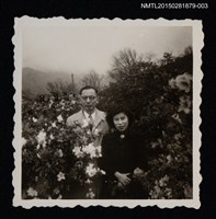 藏品(琦君夫婦與糜文開合照(琦君與糜文開合照)3)的圖片