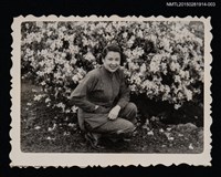 藏品(林海音獨照1-3)的圖片