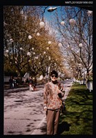 藏品(林海音次女夏祖麗獨照2)的圖片