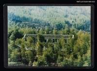 藏品(琦君大陸溫州潘家老宅整修後照片3)的圖片